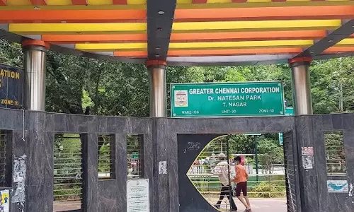 தி.நகர் நடேசன் பூங்கா அருகே ஆதரவின்றி தவித்த மூதாட்டியை மீட்ட போலீசார்