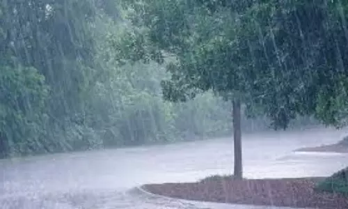 கோவையில் அரசு பஸ்சுக்குள் வடிந்த மழைநீர்