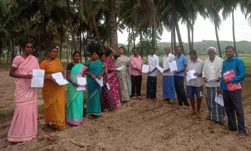 தென்னையில் பூச்சி நோய் குறித்து விழிப்புணர்வு முகாம்