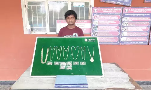 வடிவேலு பட பாணியில் பசுமை வீடுகளில் சோலாரை சரி செய்வதாக கூறி  நகை, பணம் திருடிய வாலிபர்