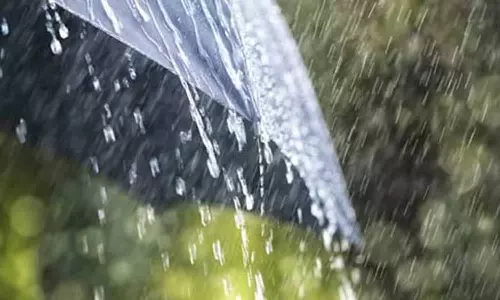 நெல்லை, தென்காசி, தூத்துக்குடியில் தொடரும் கோடை மழை