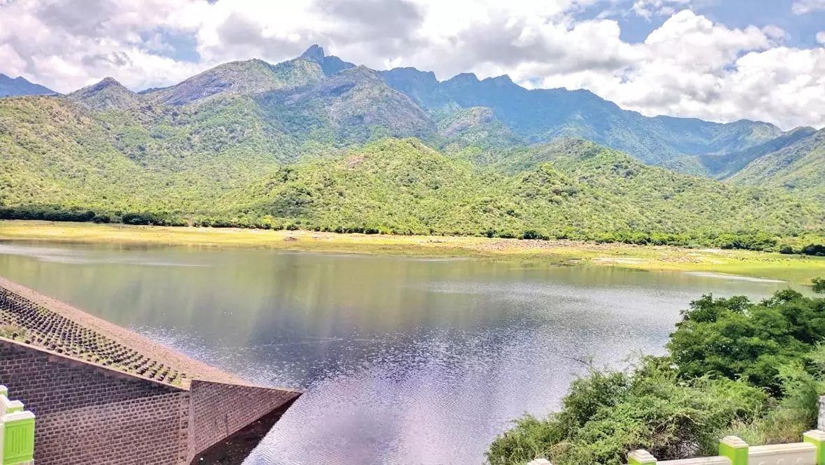 கோடை மழையால் கருப்பாநதி அணை 5 அடி உயர்வு - குடிநீரை பொதுமக்கள் சிக்கனமாக பயன்படுத்த கடையநல்லூர் நகர மன்ற தலைவர்  வேண்டுகோள்