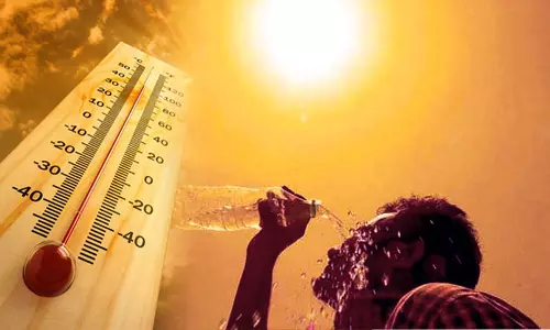 அனல் காற்றுடன் வாட்டி வதைக்கும் அக்னி நட்சத்திரம் 4-ந்தேதி தொடங்குகிறது