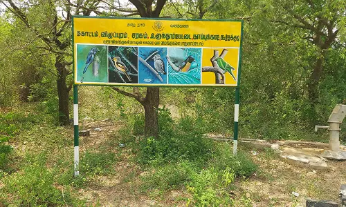 காப்புக்காட்டில் வனவிலங்குகளுக்கு  தண்ணீர் தொட்டி அமைக்க வேண்டும்: மான்கள் தண்ணீர் தேடி வருவதால் விபத்து