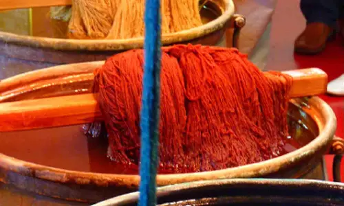 குறைந்த செலவில் சாயமிடும் தொழில்நுட்பம் - வடமாநிலங்களில் கள ஆய்வு நடத்த குழு