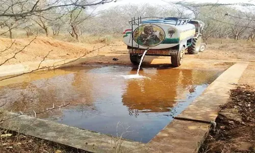 ராணிப்பேட்டை மாவட்டத்தில் வனவிலங்குகளுக்கு தண்ணீர் வசதி