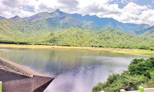 கோடை மழையால் கருப்பாநதி அணை 5 அடி உயர்வு - குடிநீரை பொதுமக்கள் சிக்கனமாக பயன்படுத்த கடையநல்லூர் நகர மன்ற தலைவர்  வேண்டுகோள்