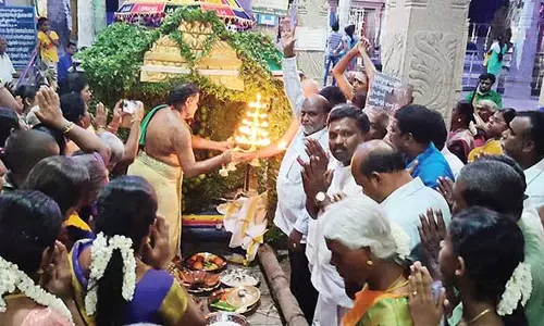 விளாத்திகுளம் மீனாட்சி சுந்தரேஸ்வரர் கோவிலில் சித்திரை திருவிழாவை முன்னிட்டு மண்டகப்படி