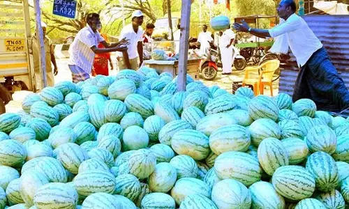வரத்து அதிகரிப்பால் பரமத்திவேலூரில் தர்பூசணி விற்பனை ஜோர்