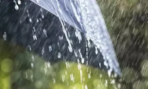 கொடைக்கானலில் அனைத்து அருவிகளிலும் வெள்ளப்பெருக்கு