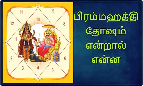 பிரம்மஹத்தி தோஷம் யாருக்கெல்லாம் வரும்... அதனால் ஏற்படும் விளைவுகள்...