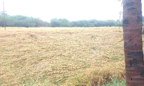 போளூரில் கனமழை