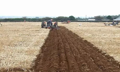 கோடை உழவு செய்து விவசாயிகள் பயன்பெற வேண்டும்