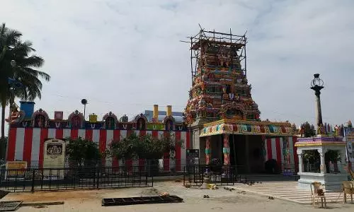 பாலமலை அரங்கநாதர் கோவில் தேர்த்திருவிழா
