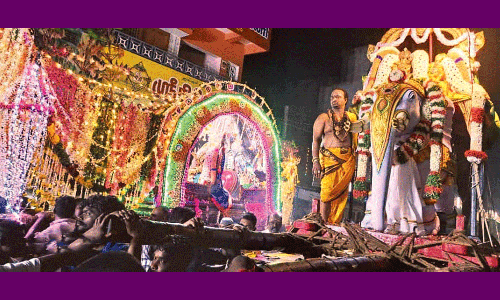 கொட்டும் மழையில் ஆனந்தவல்லி-சோமநாதரை தரிசனம் செய்த பக்தர்கள்