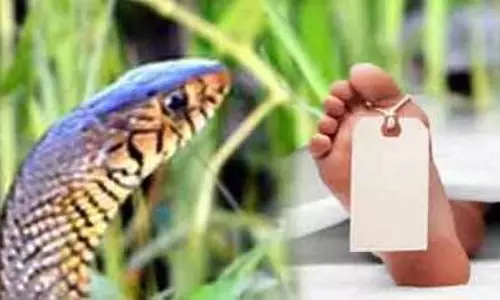 பாம்பு கடித்து பெண் சாவு