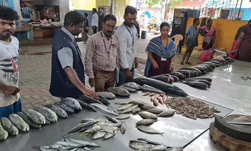 சேலம் மீன் சந்தையில்ரசாயனம் கலக்கப்பட்ட 130 கிலோ மீன்கள் பறிமுதல்
