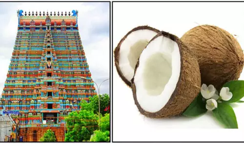 சூளகிரி அருகே சாமிக்கு படைக்கபட்ட தேங்காய்  அசைந்த அதிசயம்