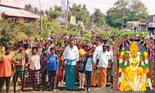 ஆனங்கூர் மாரியம்மன் கோவில் திருவிழாவையொட்டி பக்தர்கள் பால்குட ஊர்வலம்