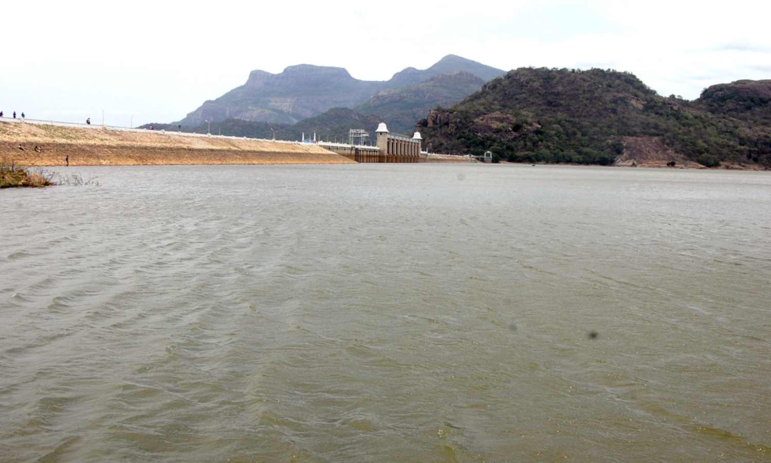 கோடை மழையால் உடுமலை அமராவதி அணைக்கு நீர்வரத்து அதிகரிப்பு- விவசாயிகள் மகிழ்ச்சி