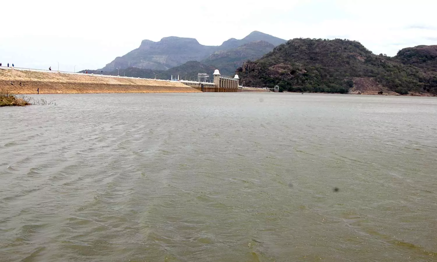 கோடை மழையால் உடுமலை அமராவதி அணைக்கு நீர்வரத்து அதிகரிப்பு- விவசாயிகள் மகிழ்ச்சி கோடை மழையால் உடுமலை அமராவதி அணைக்கு நீர்வரத்து அதிகரிப்பு- விவசாயிகள் மகிழ்ச்சி