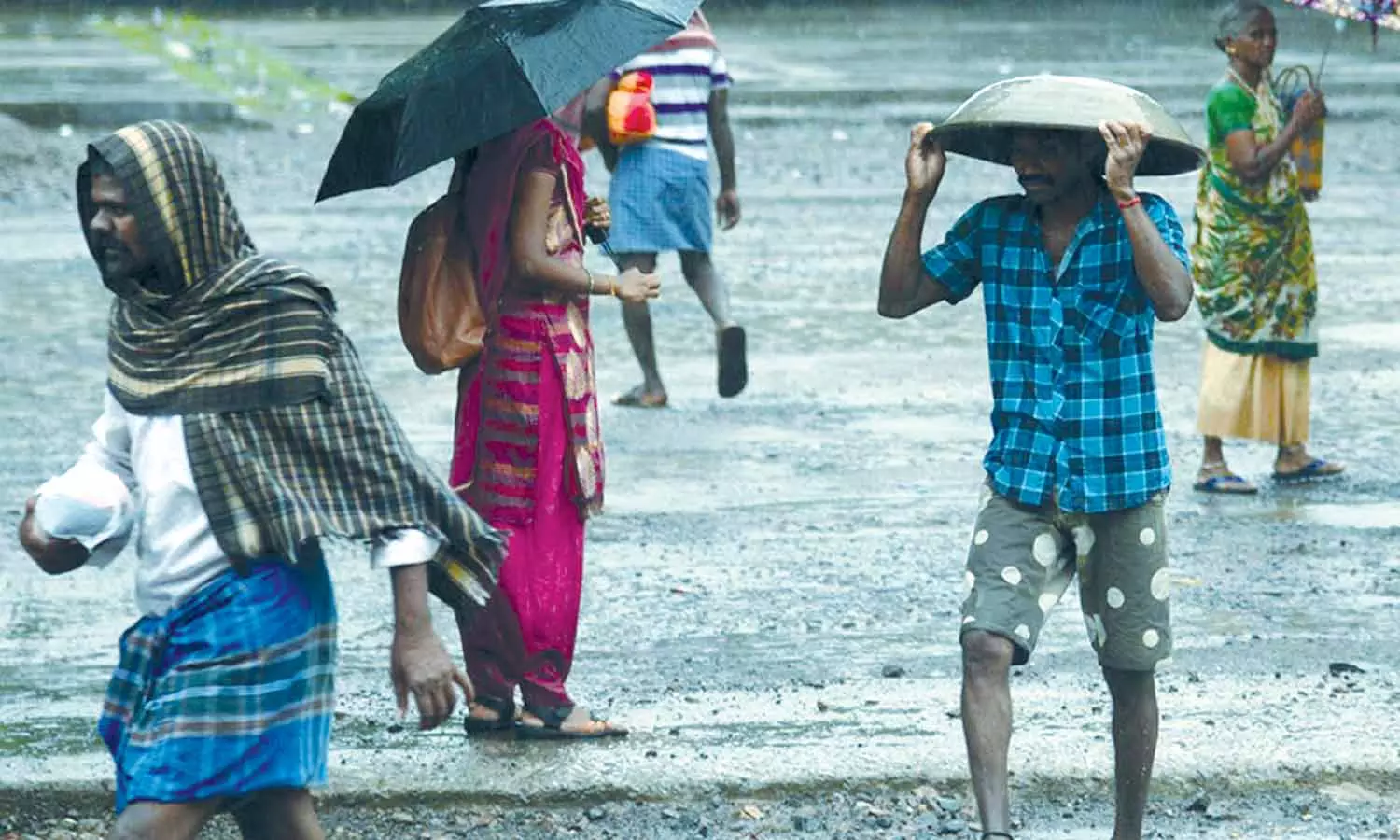 தஞ்சை மாவட்டத்தில் ஒரே நாளில் 427 மி.மீ மழை அளவு தஞ்சை மாவட்டத்தில் ஒரே நாளில் 427 மி.மீ மழை அளவு