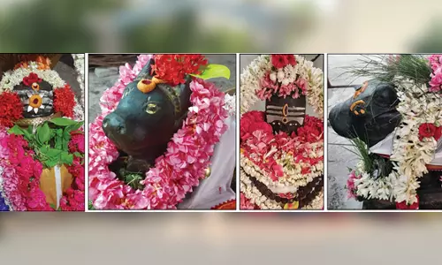 பரமத்திவேலூர் பகுதி சிவன் கோவில்களில் சிறப்பு வழிபாடு