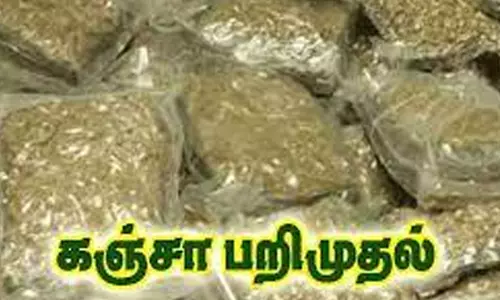 கஞ்சா வைத்து இருந்த 2 பேர் கைது