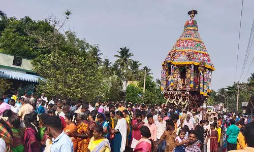 லட்சுமி நரசிம்மர்கோவிலில் தேரோட்டம்