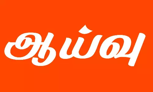 தேரின் உறுதித்தன்மை குறித்து அதிகாரிகள் ஆய்வு