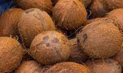 வெப்பிலி ஒழுங்கு முறை விற்பனை கூடத்தில் தேங்காய் ஏலம்