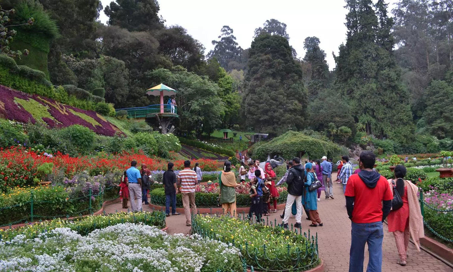 ஊட்டியில் ஹெலிகாப்டர் சுற்றுலா 13-ந் தேதி முதல் 30-ந் தேதி வரை நடத்த திட்டம்