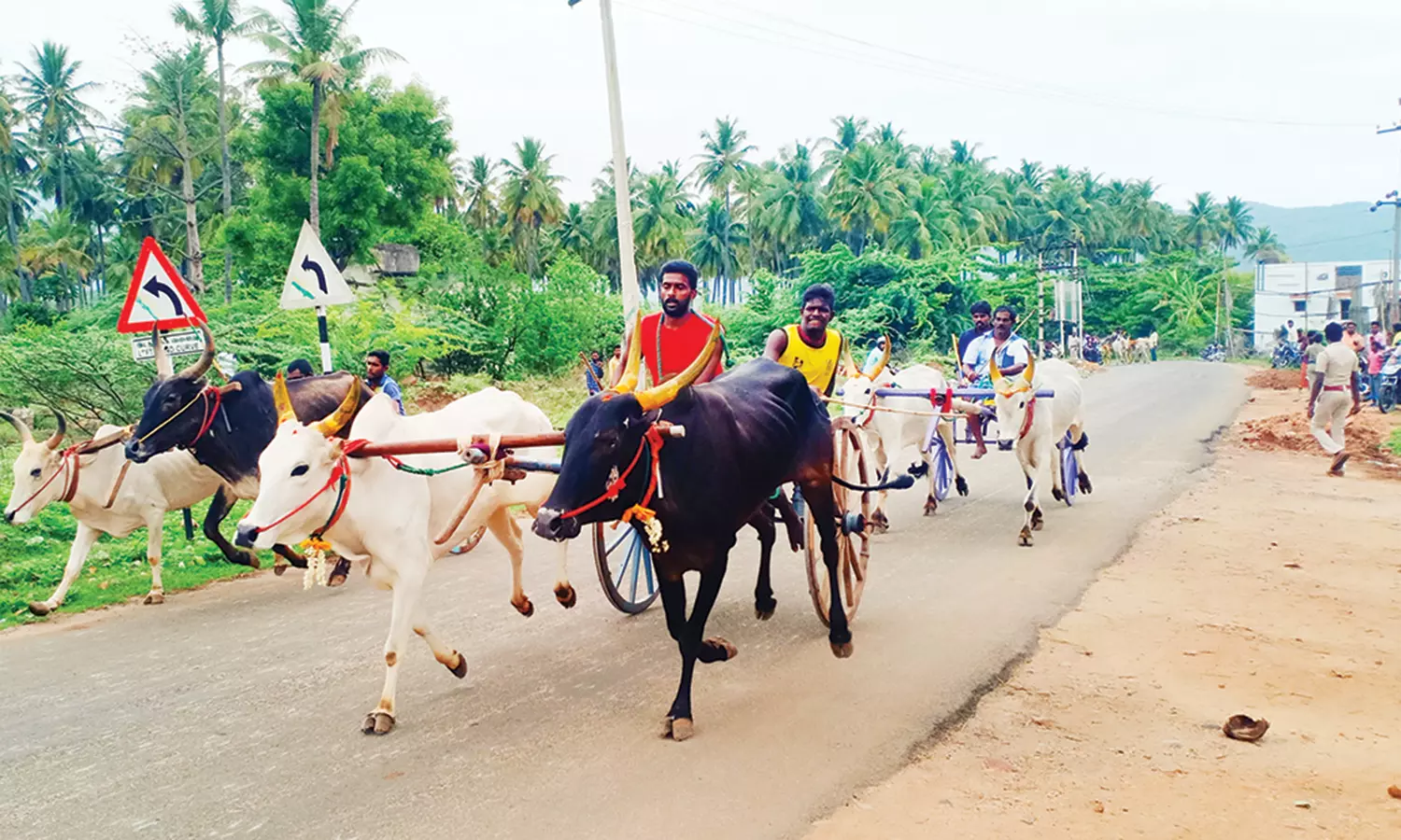 வத்தலக்குண்டு அருகே கோவில் திருவிழாவை முன்னிட்டு இரட்டை மாட்டுவண்டி பந்தயம்
