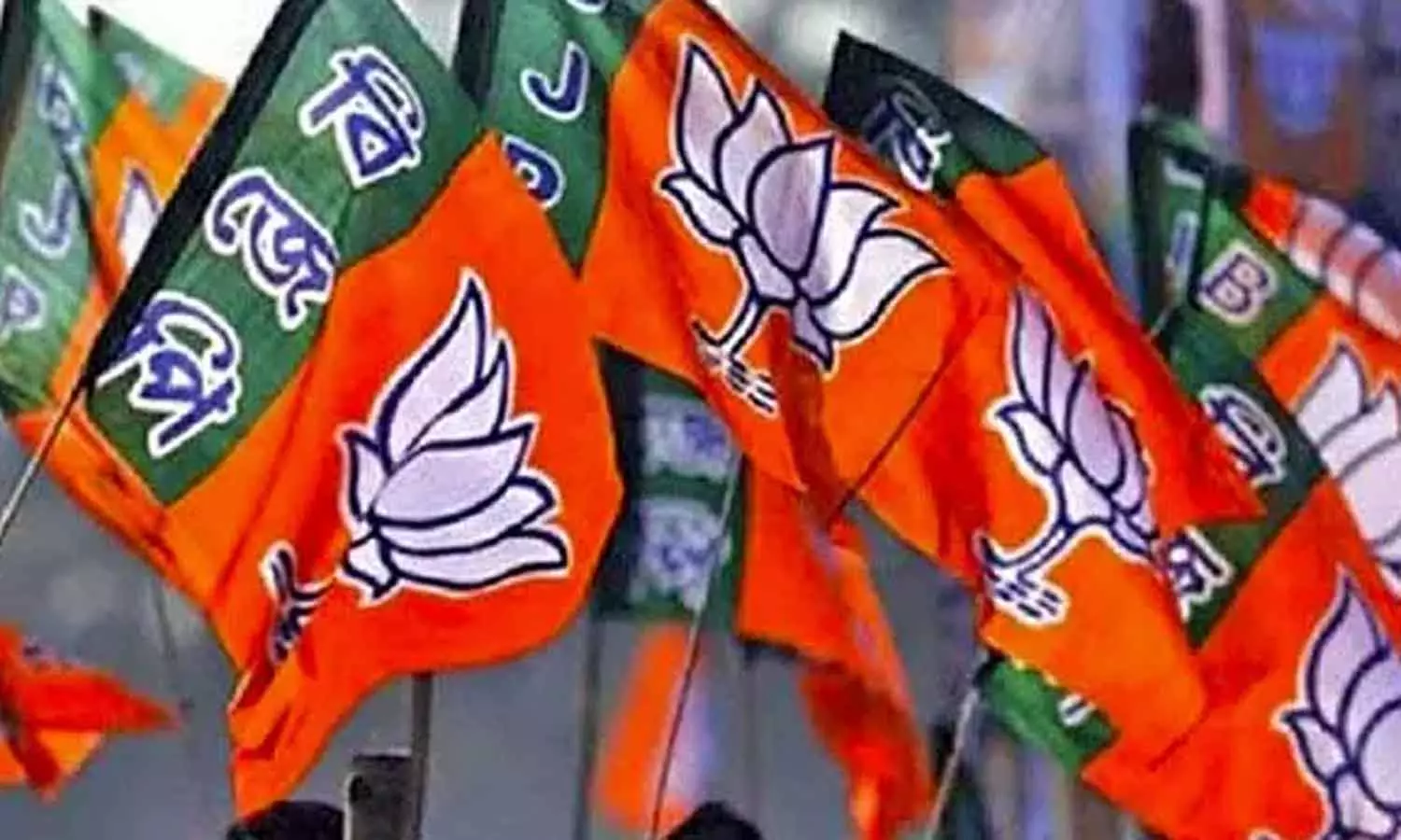 பா.ஜ.க. தனி பெரும்பான்மையுடன் ஆட்சியை பிடிக்கும்- புதிய கருத்துக்கணிப்பில் தகவல் பா.ஜ.க. தனி பெரும்பான்மையுடன் ஆட்சியை பிடிக்கும்- புதிய கருத்துக்கணிப்பில் தகவல்