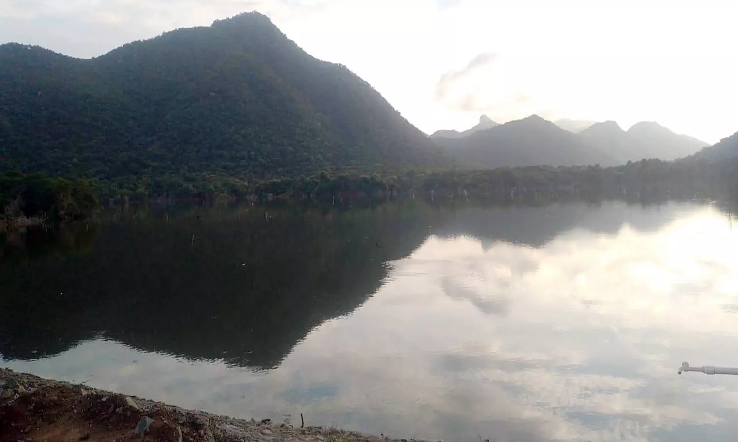 செண்பகத்தோப்பு அணையில் தண்ணீர் திறப்பு