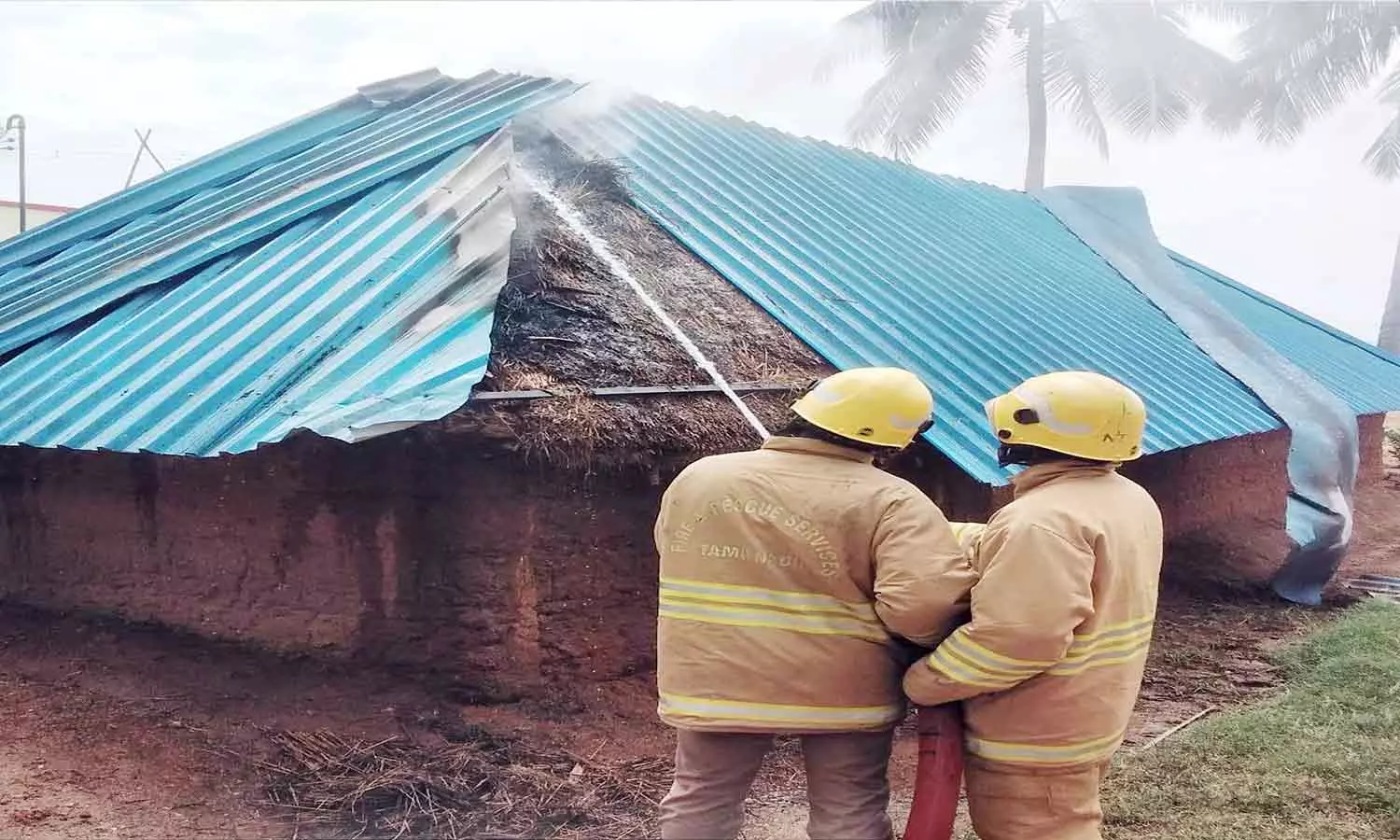 குளவி கூண்டு கலைக்க தீ வைத்தபோது குடிசை வீடு எரிந்தது