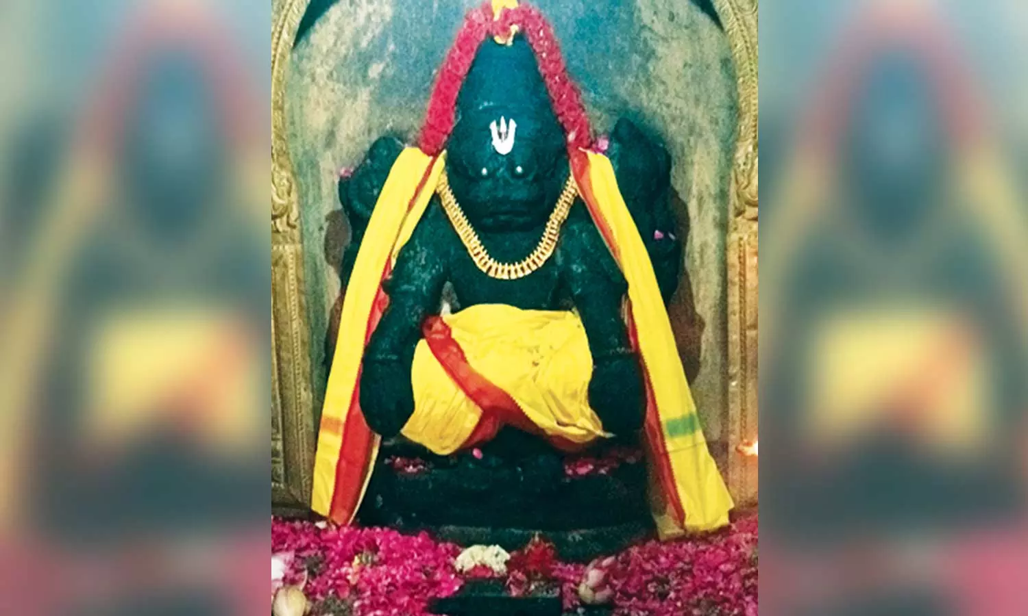 யோகநரசிம்ம பெருமாள் கோவிலில் நரசிம்ம ஜெயந்தி விழா