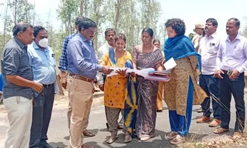 தூர்வாரும் பணிகளை கலெக்டர் ஆய்வு