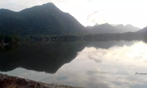 செண்பகத்தோப்பு அணையில் தண்ணீர் திறப்பு