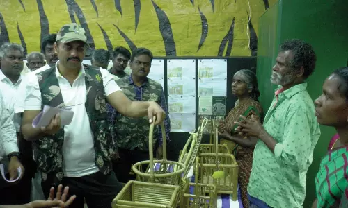 வால்பாறை வனப்பகுதியில் வனத்துறை அமைச்சர் மதிவேந்தன் ஆய்வு