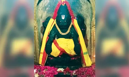 யோகநரசிம்ம பெருமாள் கோவிலில் நரசிம்ம ஜெயந்தி விழா