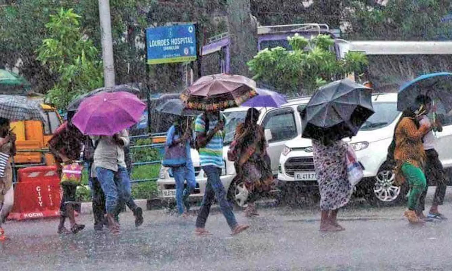 கோடை மழையால் எள் வயல்கள் பாதிப்பு கோடை மழையால் எள் வயல்கள் பாதிப்பு