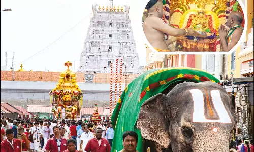 திருச்சானூரில் வசந்தோற்சவம் 2-வது நாள்: தங்க தேரில் பத்மாவதி தாயார் பவனி