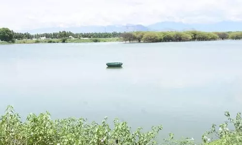 கோடையில் கைகொடுக்குமா உடுமலை ஏழு குளம்?