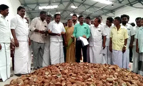 கொப்பரைத் தேங்காய் கொள்முதல்