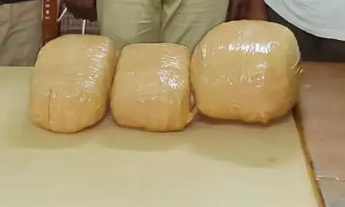 ஓடும் ரெயிலில் கஞ்சா பறிமுதல்