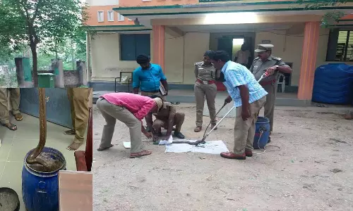 வீட்டில் வளர்த்த மண்ணுளி பாம்பு மீட்பு