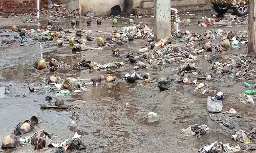 தோட்டப்பாளையத்தில் வீடுகளுக்குள் கழிவுநீர் புகுந்ததால் அவதி