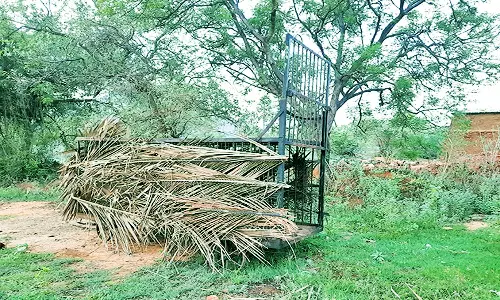 களக்காடு அருகே ஊருக்குள் சுற்றி வரும் கரடியை பிடிக்க கூண்டு வைப்பு-வனத்துறையினர் கண்காணிப்பு