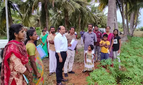 வளர்ச்சி திட்டப்பணிகளை கலெக்டர் கிருஷ்ணனுண்ணி நேரில் ஆய்வு